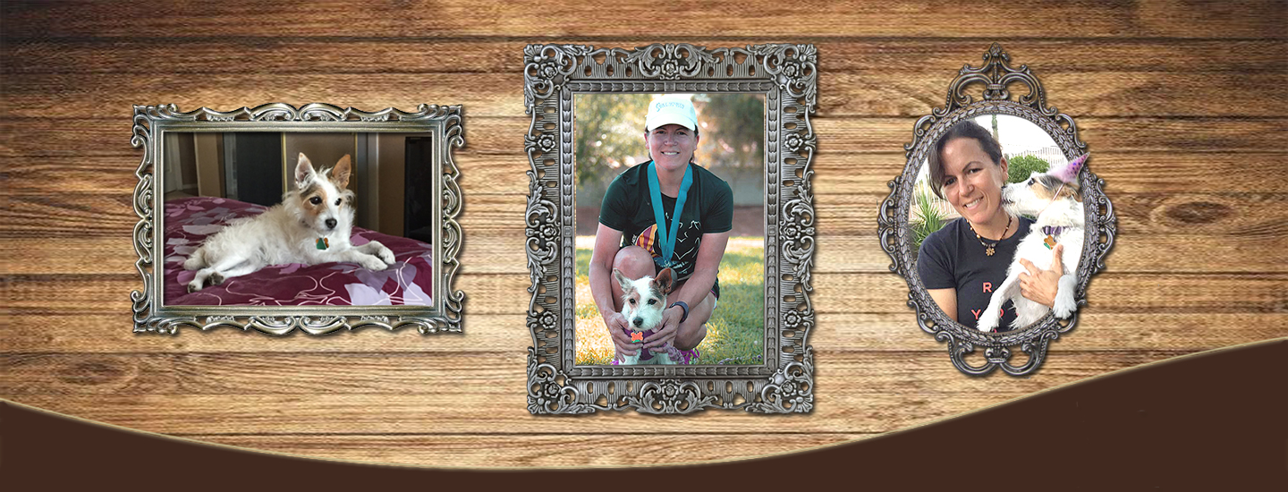 RuffinIt Pet Sitting